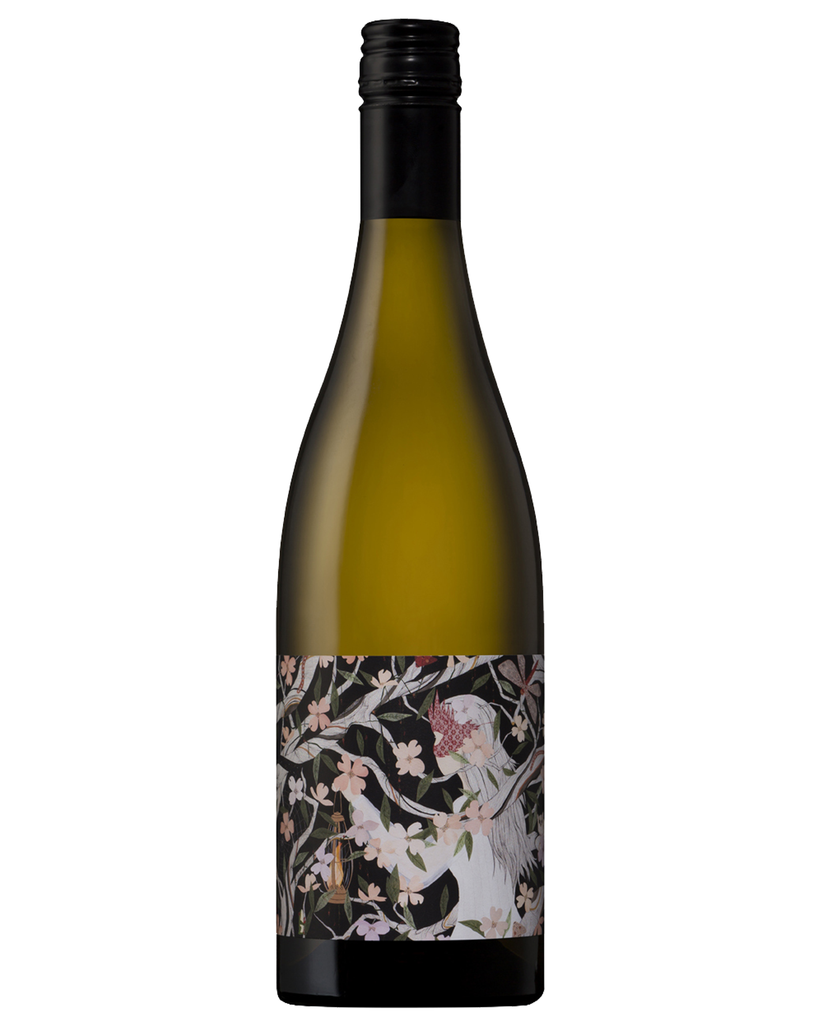 Adelina Eternal Return Adelaide Hills Arneis — PNG format 1600×2000 pixels