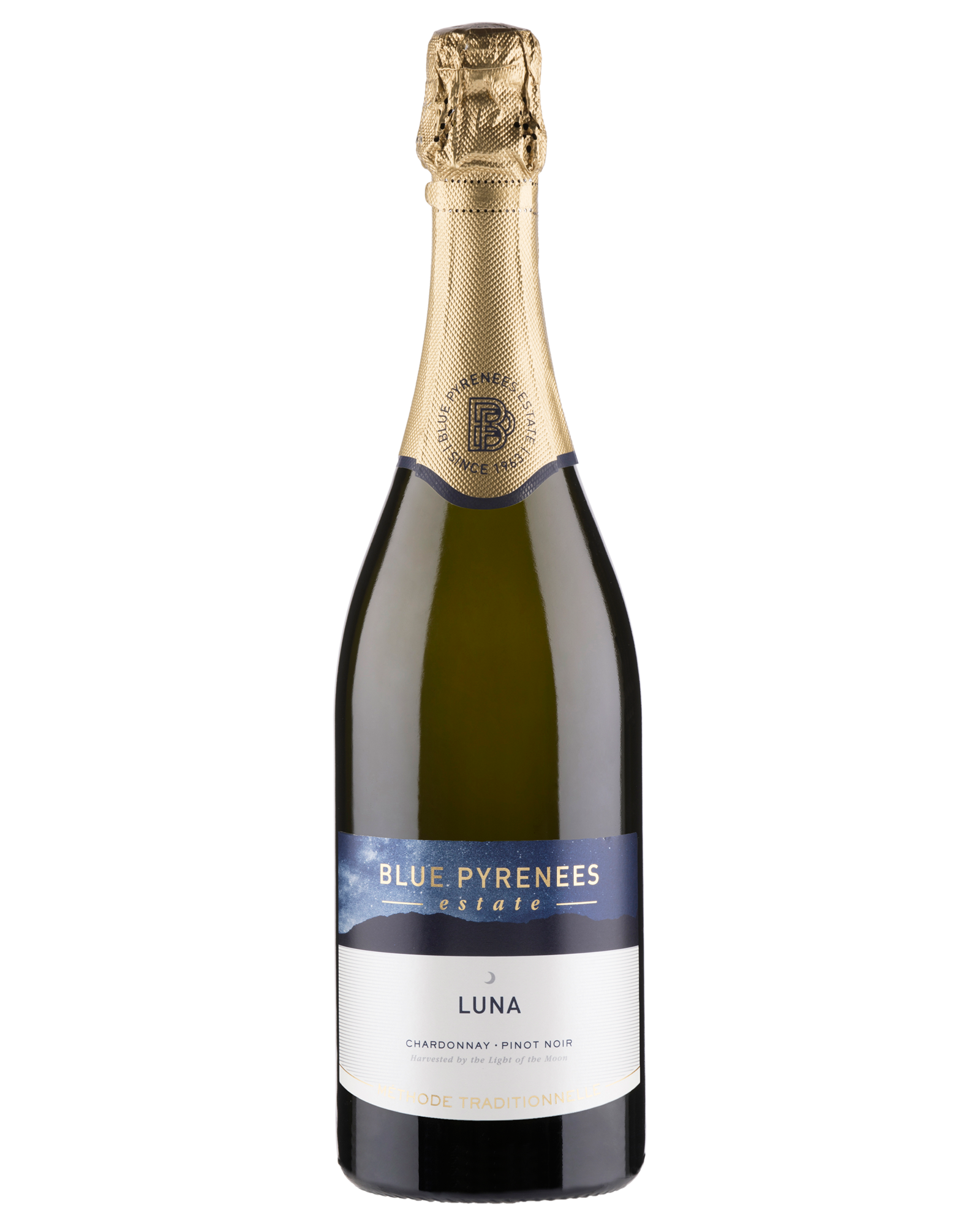 Blue Pyrenees Luna Brut — PNG format 1600×2000 pixels