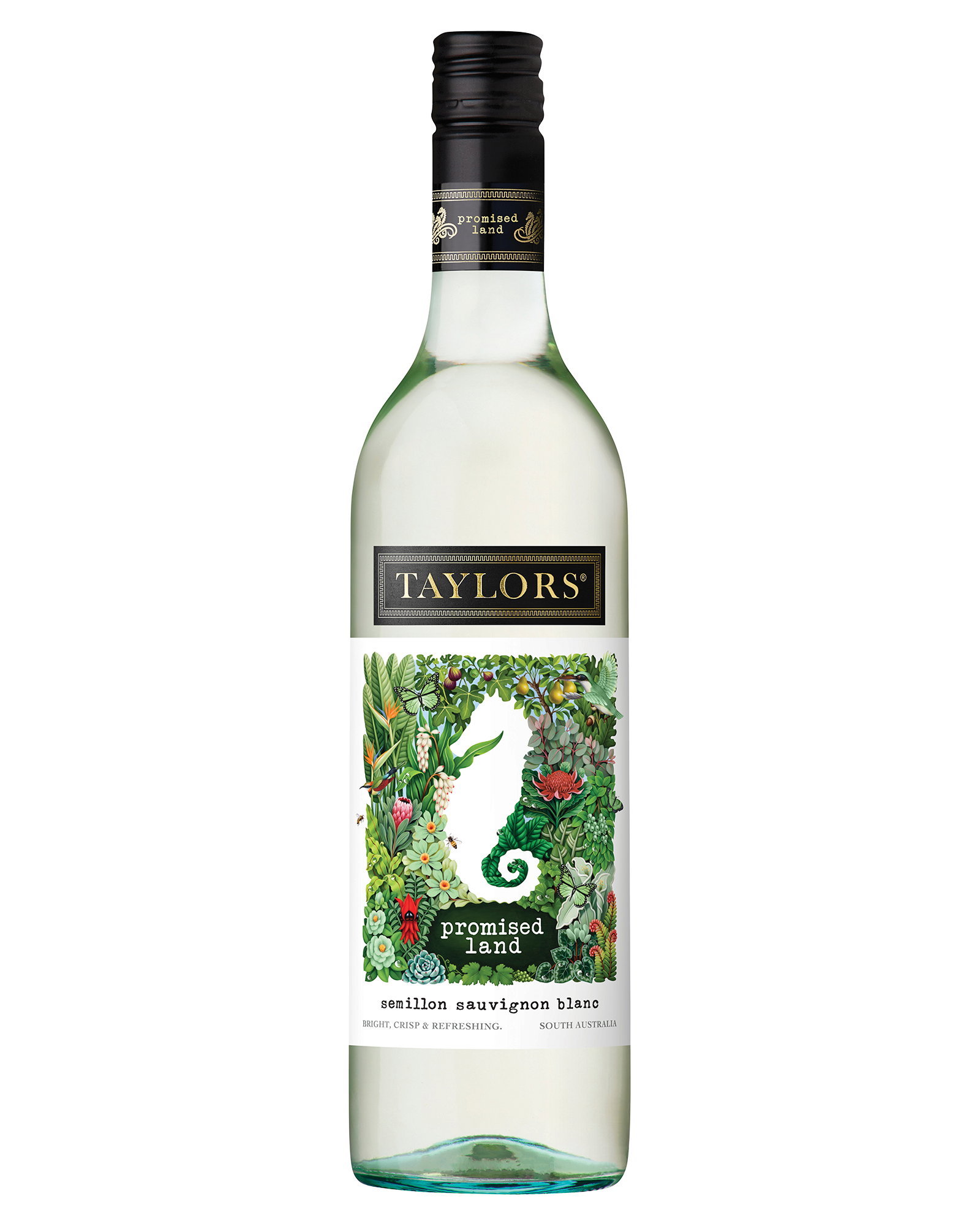 Taylors Promised Land Semillon Sauvignon Blanc — PNG format 1600×2000 pixels