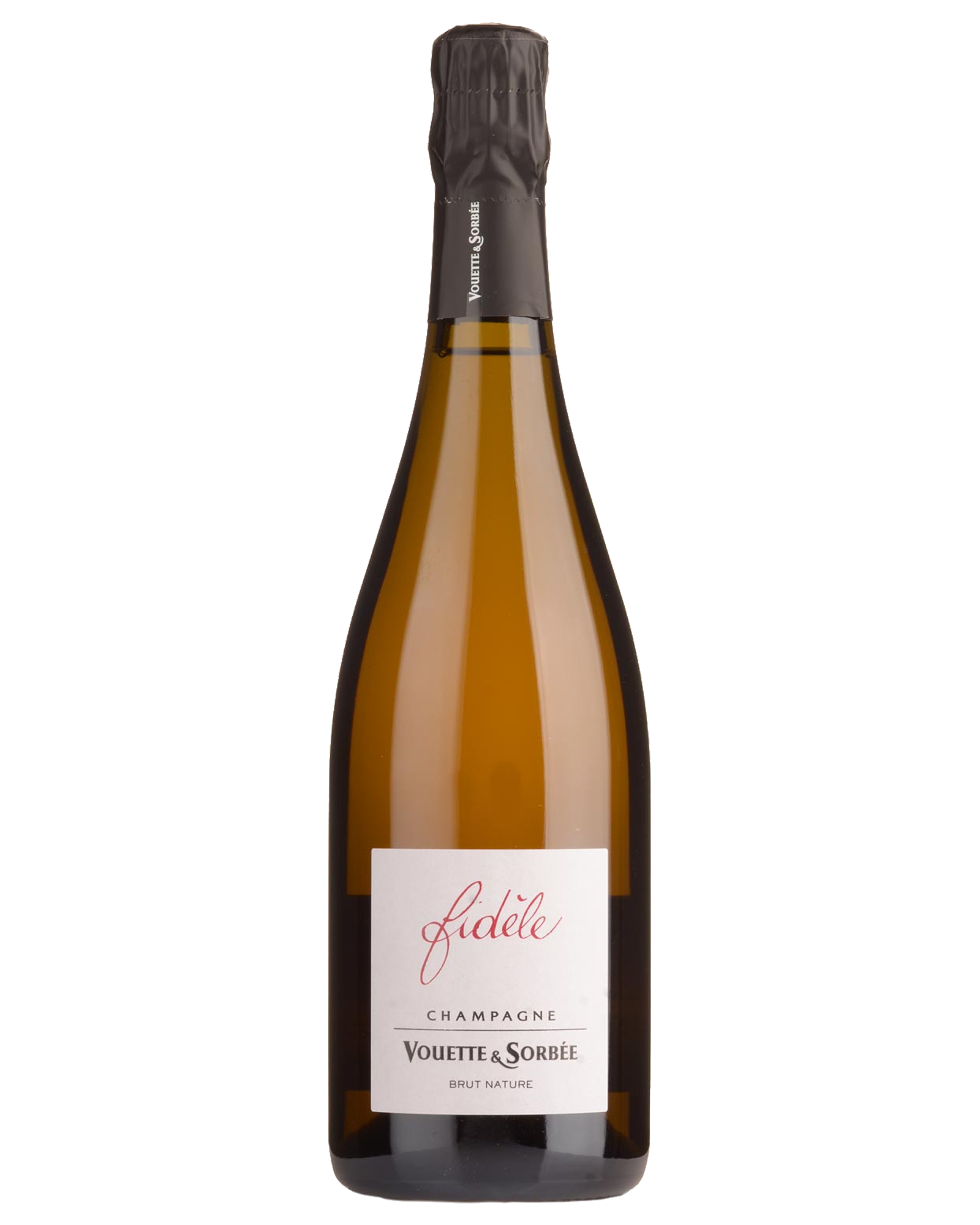Vouette & Sorbee Fidele Champagne — PNG format 1600×2000 pixels