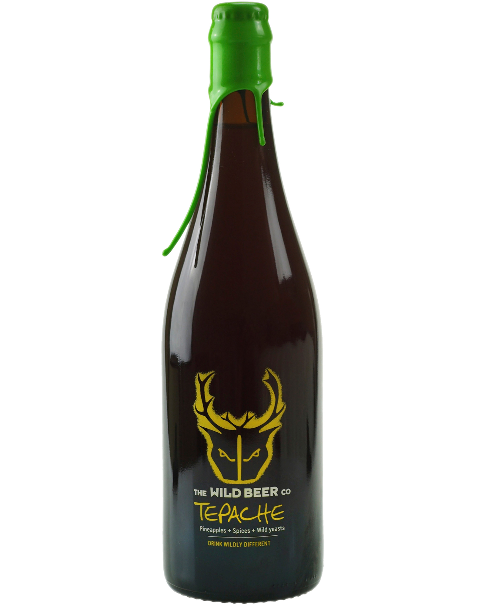 Wild Beer Tepache Sour Ale thumbnail