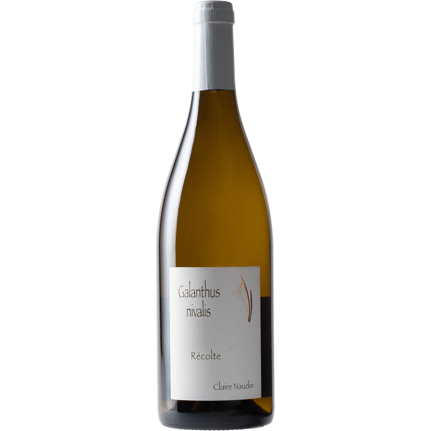 Domaine Naudin Ferrand Domaine Naudin-Ferrand VdF Pinot Blanc Galanthus Nivalis 2017