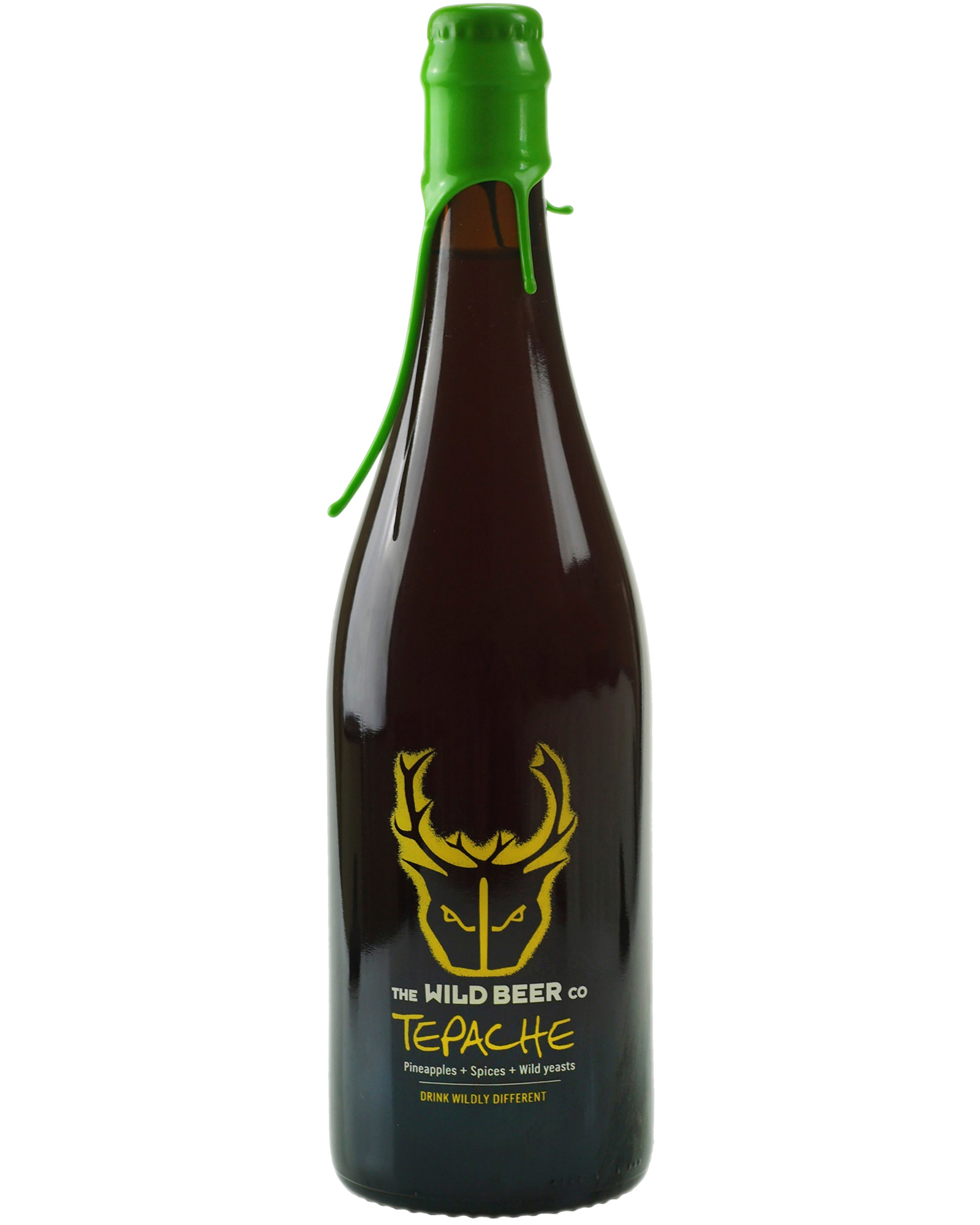 Wild Beer Tepache Sour Ale